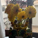 Guest house Il Cuore Di 4*